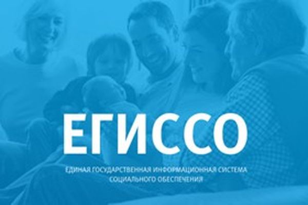 ЕГИССО общее.