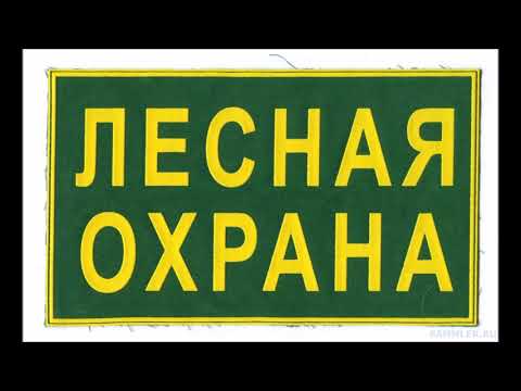 Об ограничении пребывания граждан в лесах и въезда в них транспортных средств.